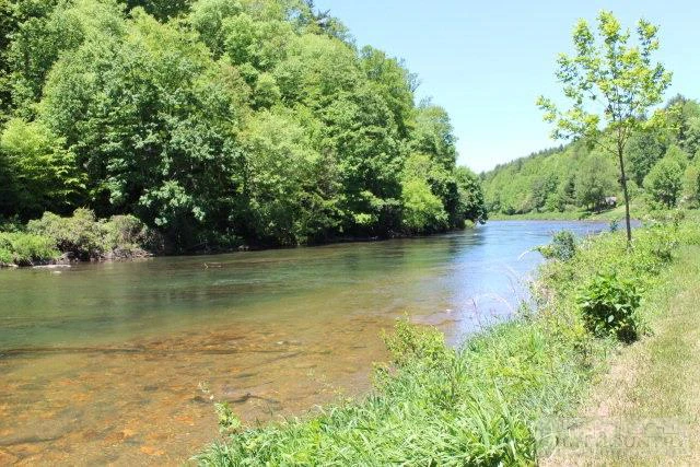 Image number 12 for the current listing