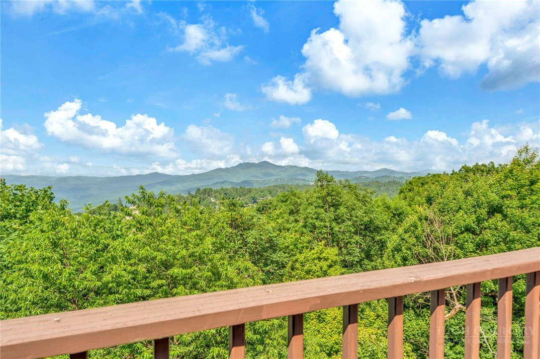 Image number 1 for the current listing
