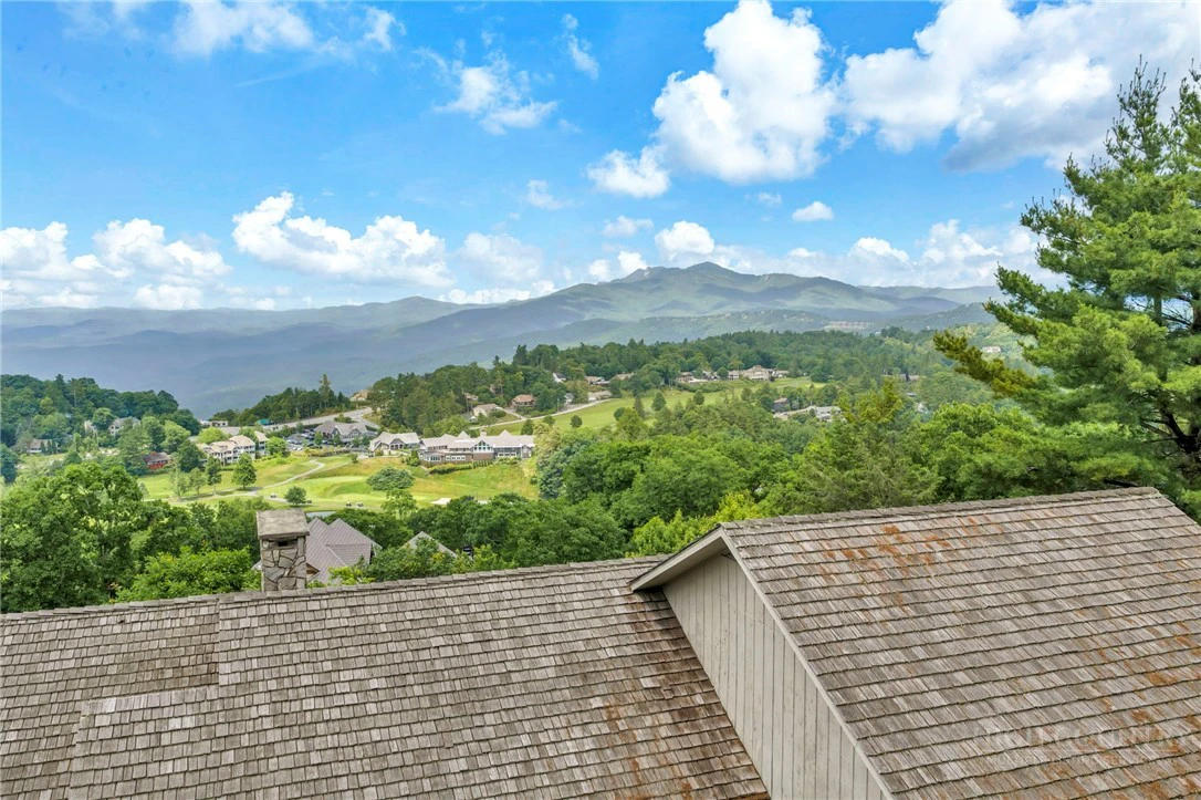 Image number 3 for the current listing