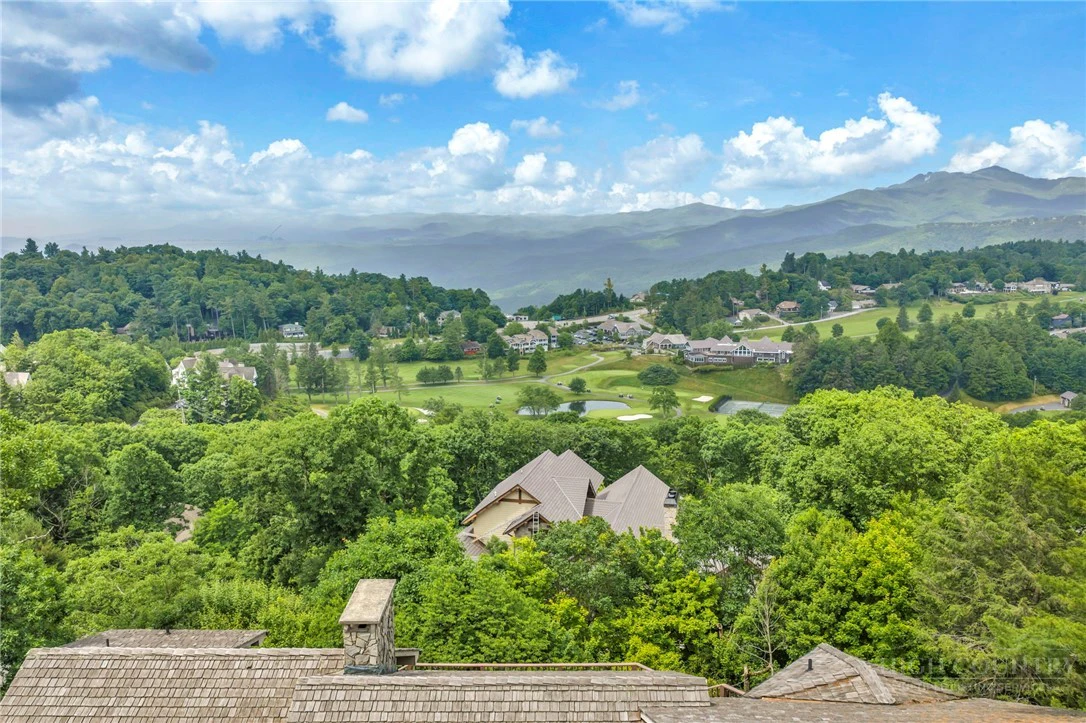 Image number 4 for the current listing