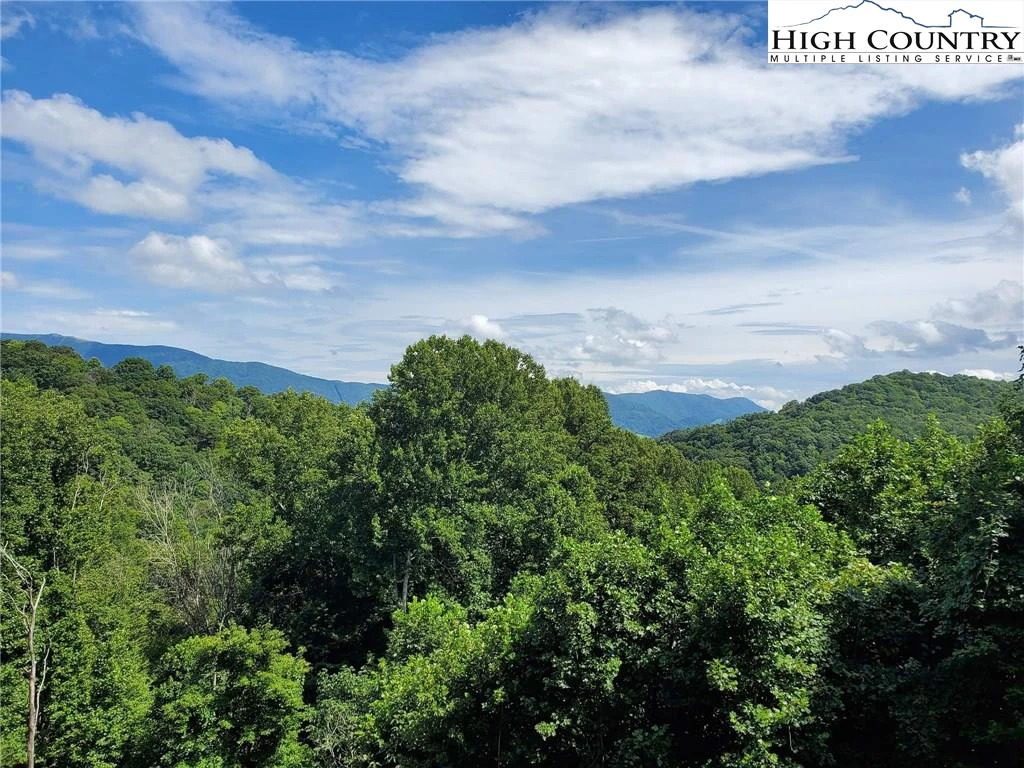 Image number 3 for the current listing