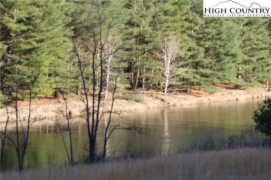 Image number 9 for the current listing