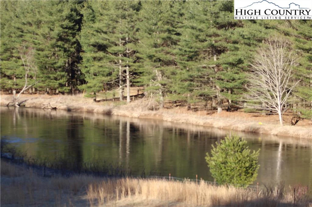 Image number 10 for the current listing