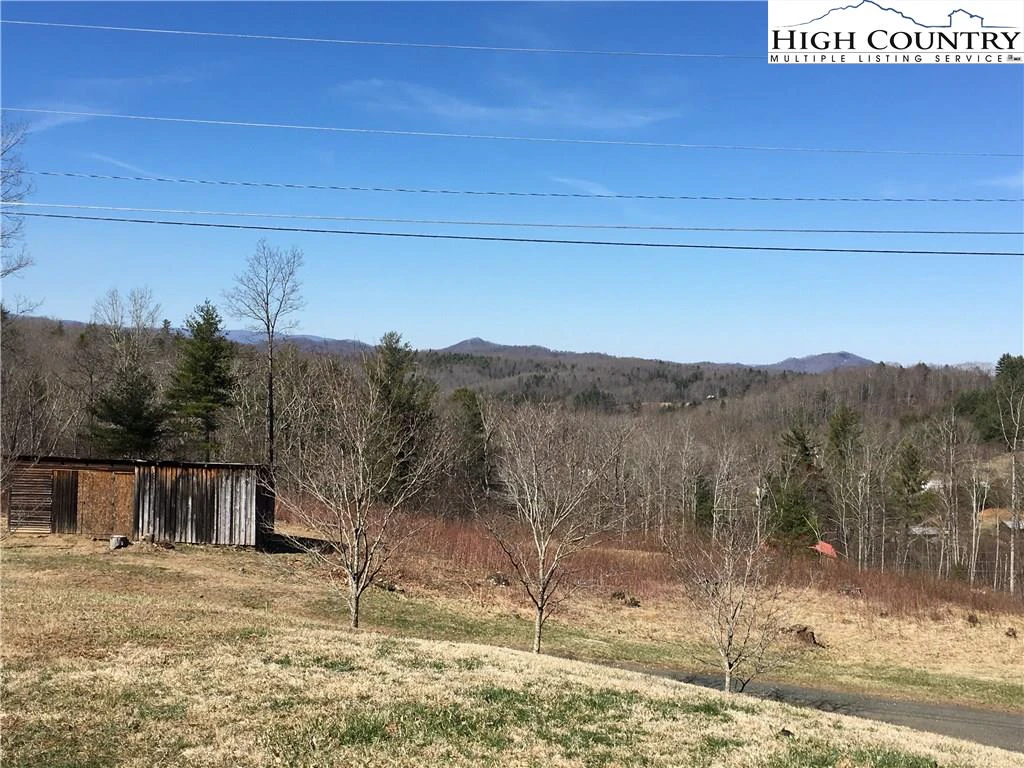 Image number 4 for the current listing