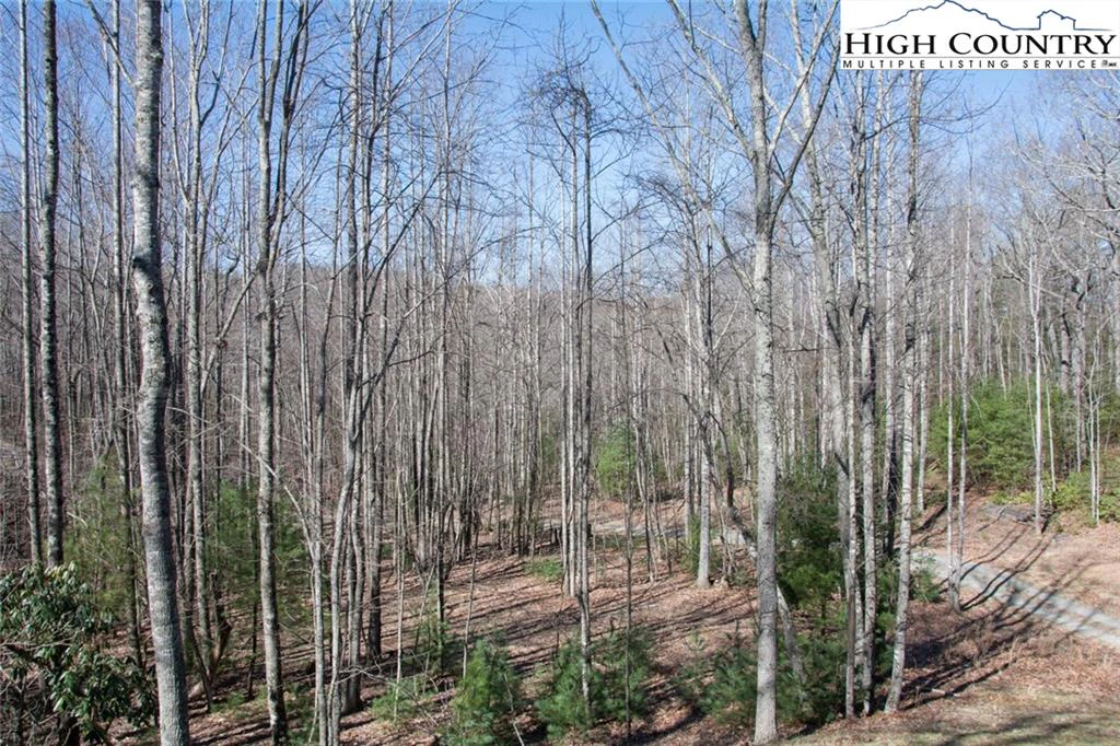 Image number 13 for the current listing