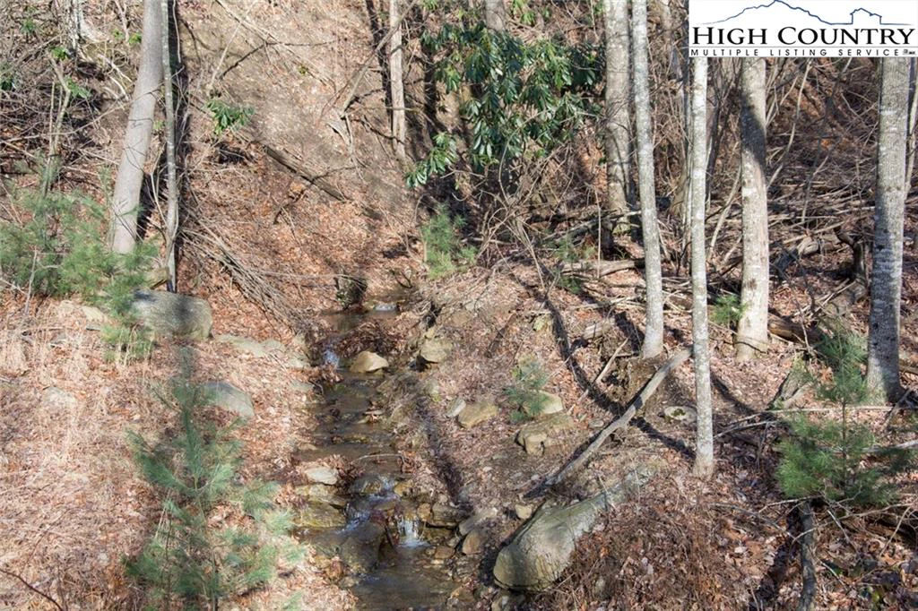 Image number 3 for the current listing