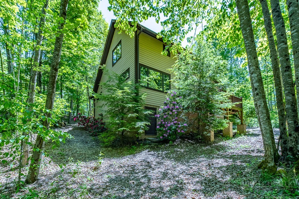 Image number 12 for the current listing