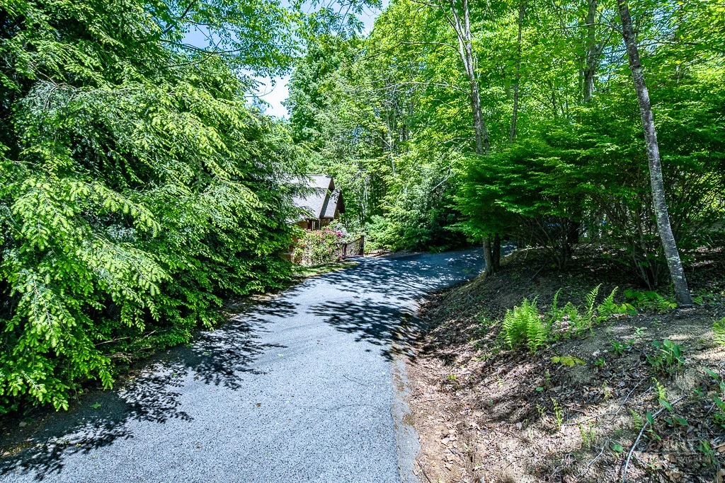 Image number 16 for the current listing