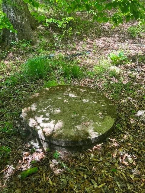 Image number 7 for the current listing