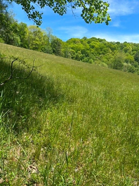 Image number 18 for the current listing