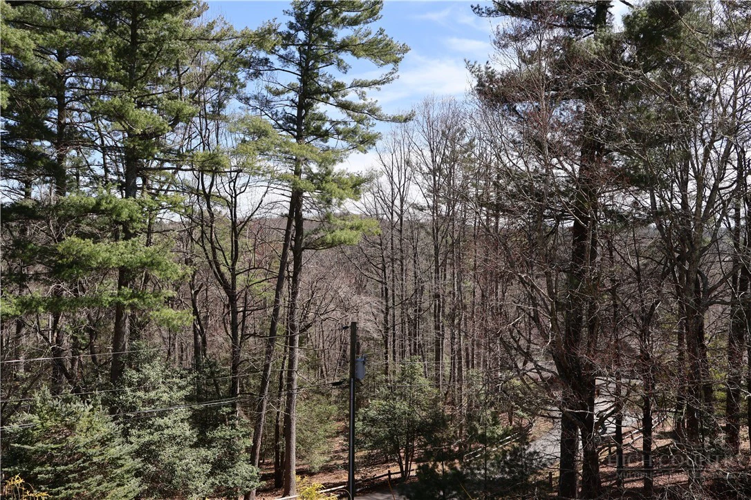Image number 15 for the current listing