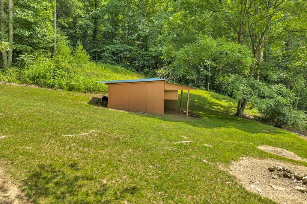Image number 11 for the current listing