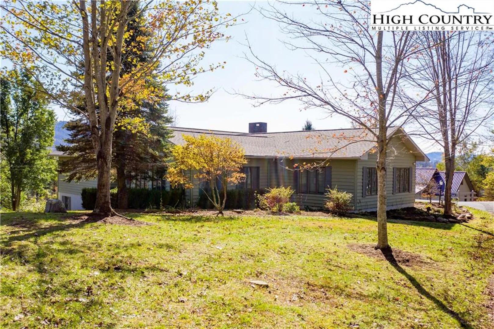 Image number 2 for the current listing