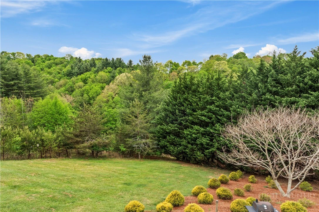 Image number 8 for the current listing