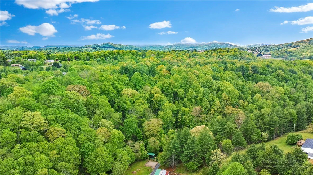 Image number 5 for the current listing