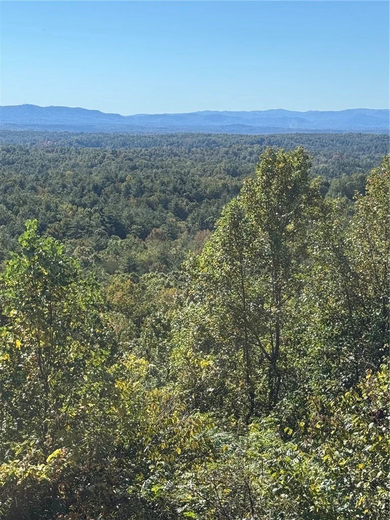 Image number 9 for the current listing