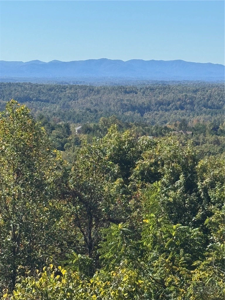 Image number 2 for the current listing