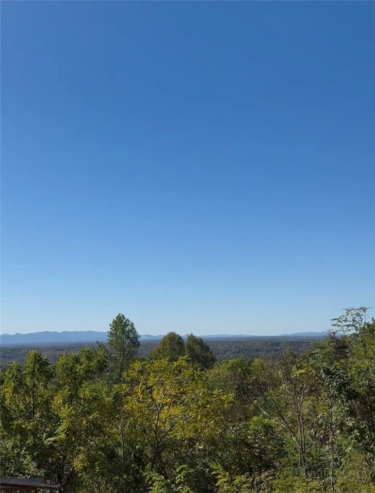 Image number 17 for the current listing