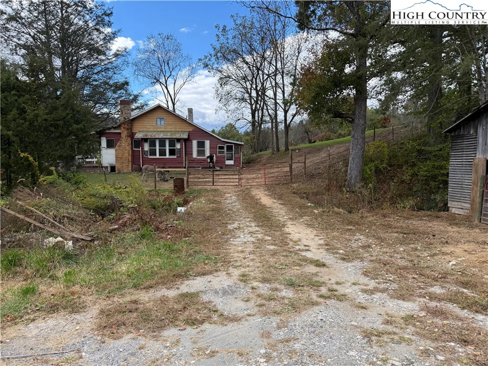Image number 12 for the current listing