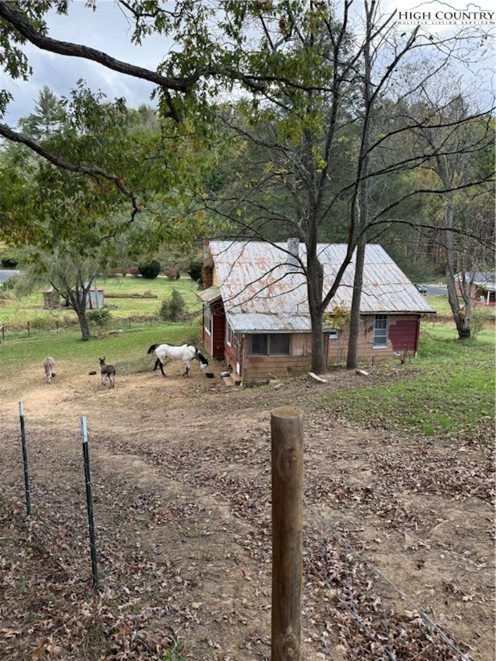 Image number 10 for the current listing