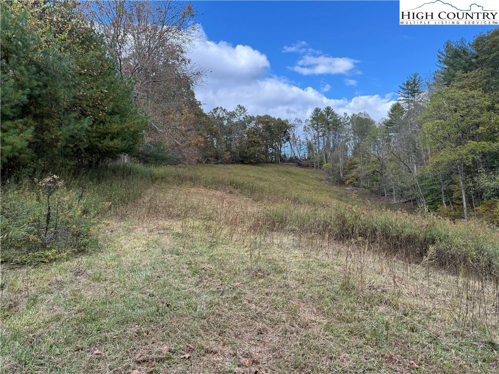 Image number 9 for the current listing