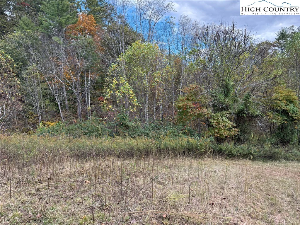Image number 7 for the current listing