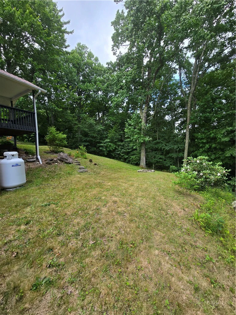 Image number 4 for the current listing