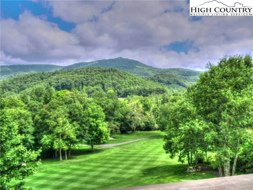Image number 3 for the current listing