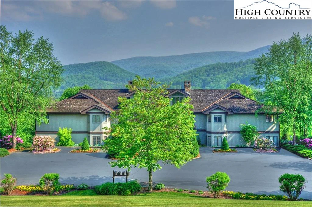 Image number 1 for the current listing