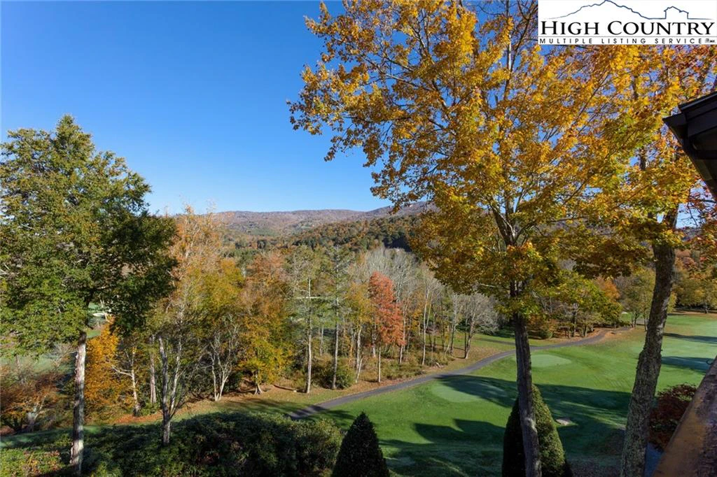 Image number 3 for the current listing
