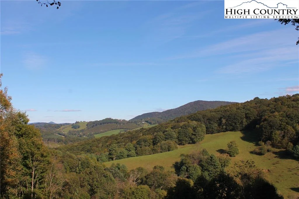 Image number 11 for the current listing