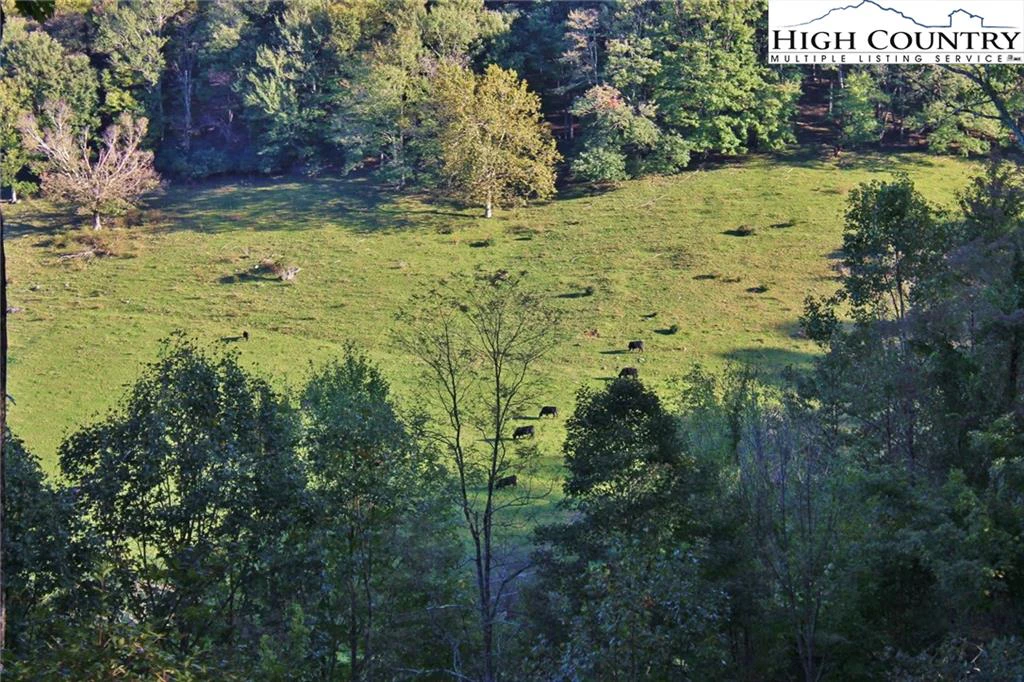 Image number 18 for the current listing