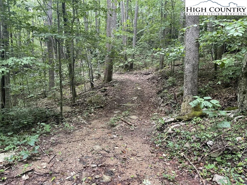 Image number 5 for the current listing
