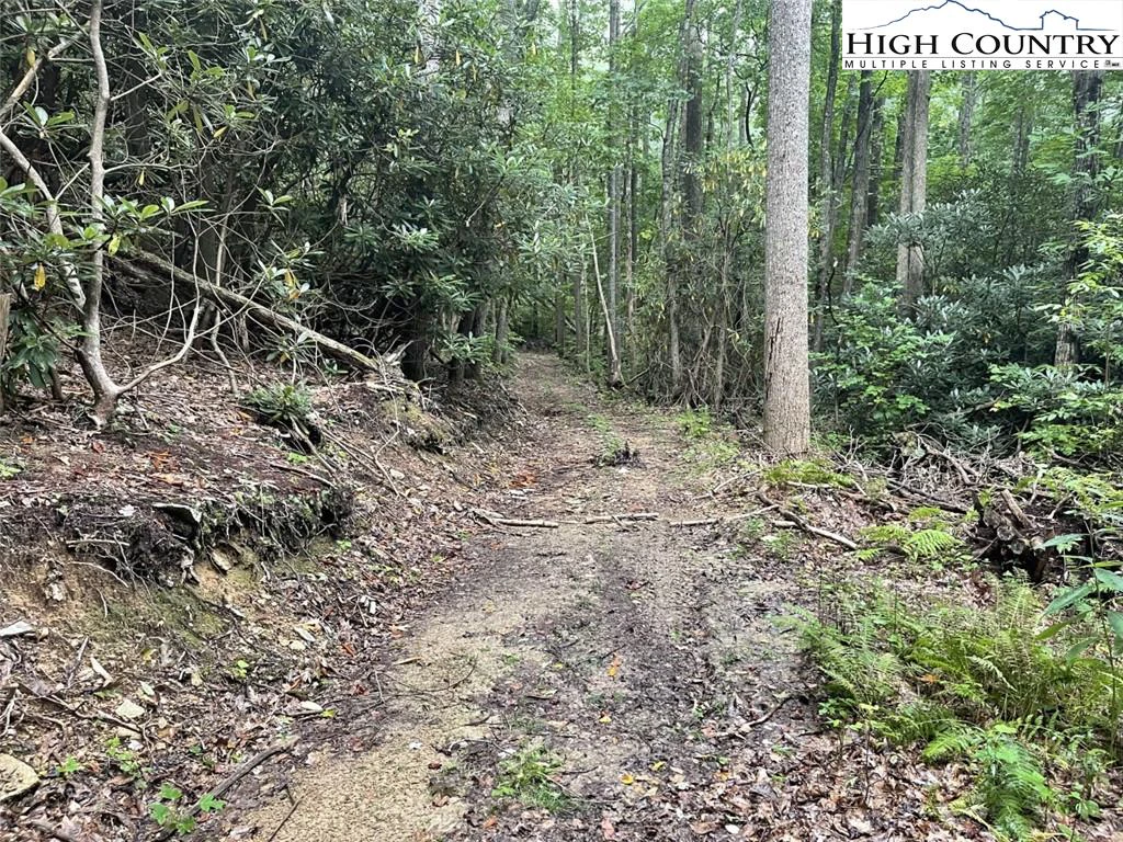 Image number 4 for the current listing