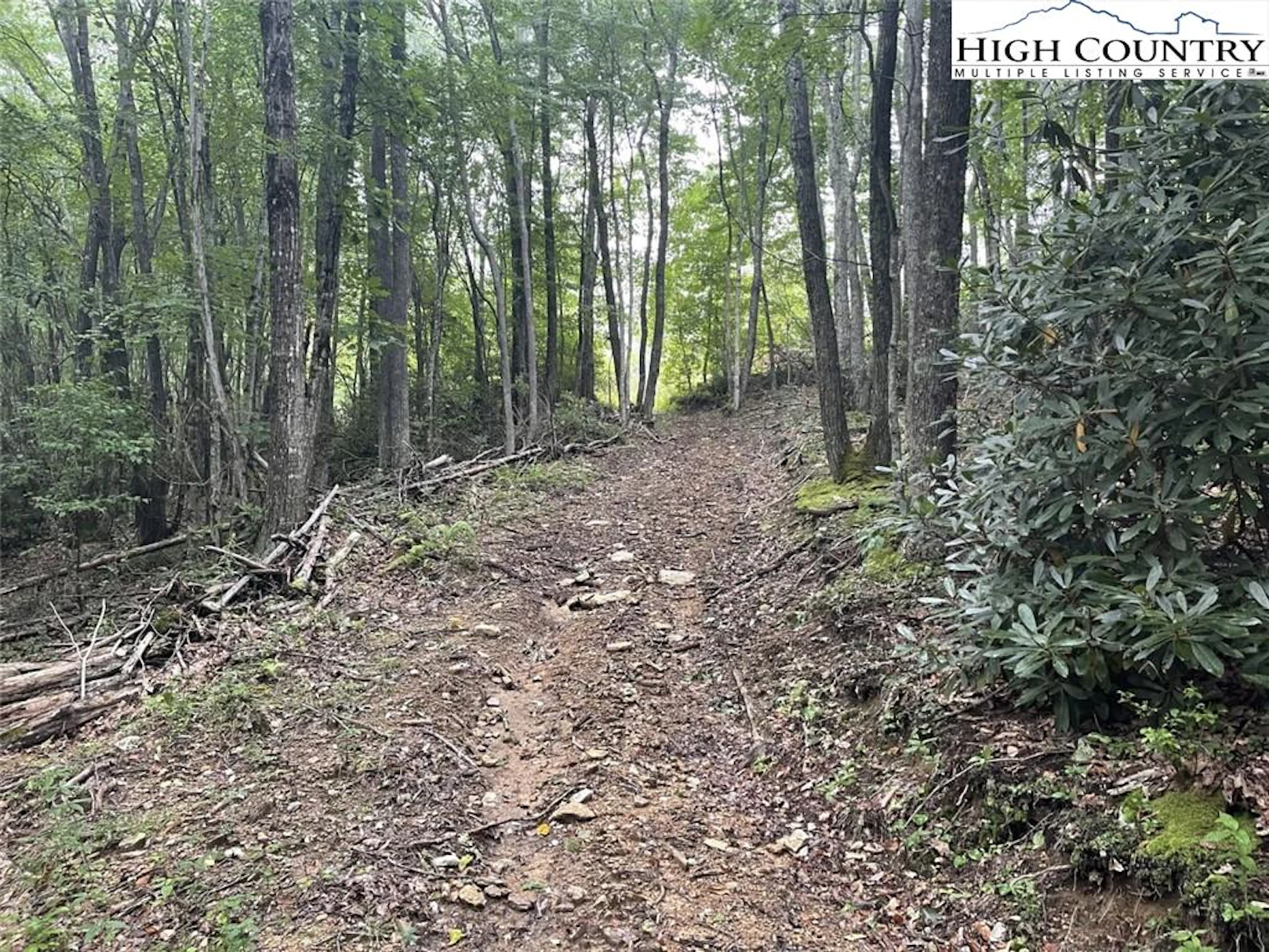 Image number 3 for the current listing