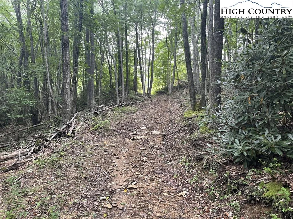 Image number 3 for the current listing
