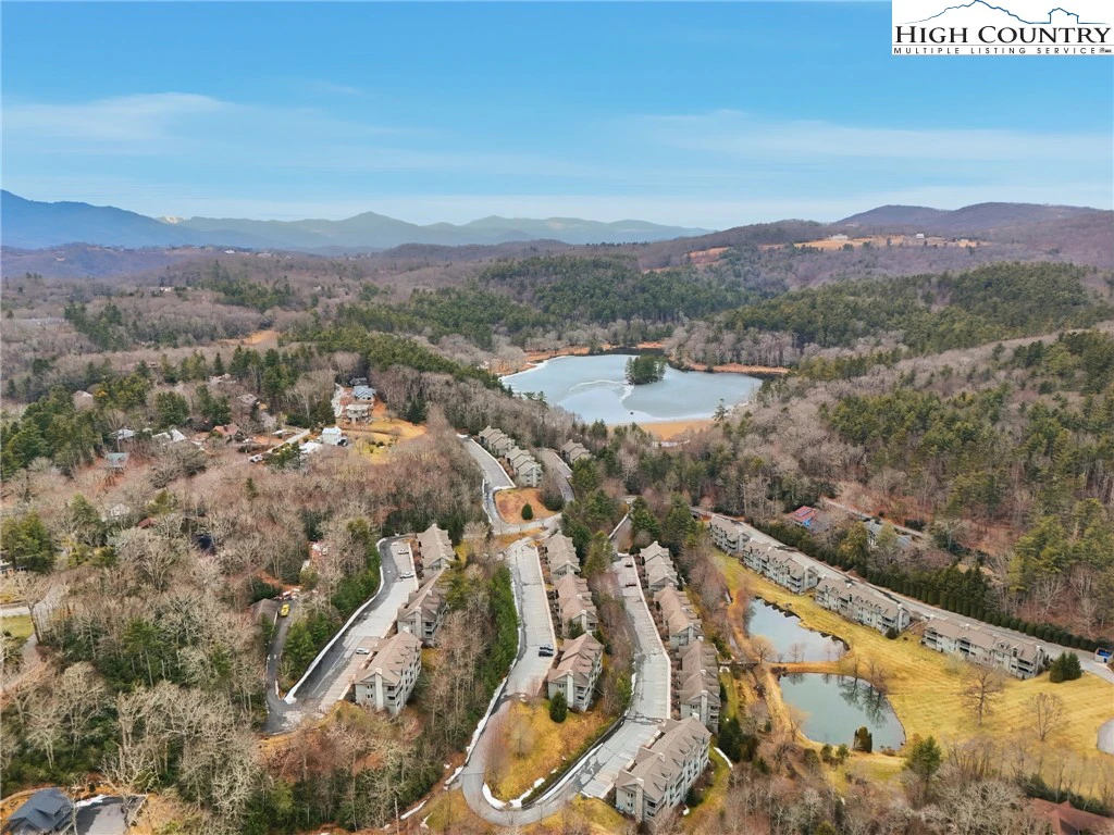 Image number 3 for the current listing