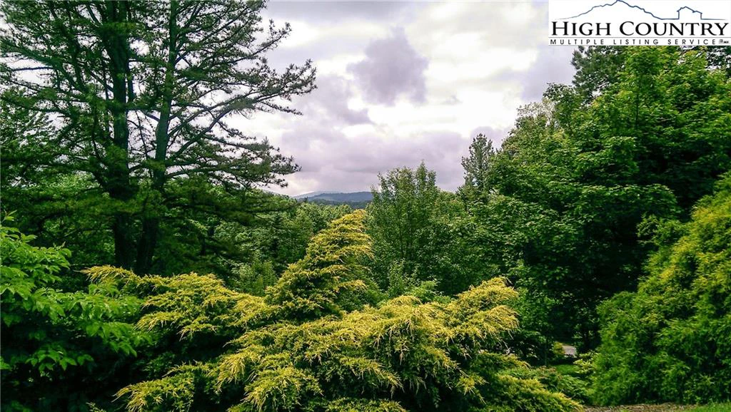 Image number 4 for the current listing