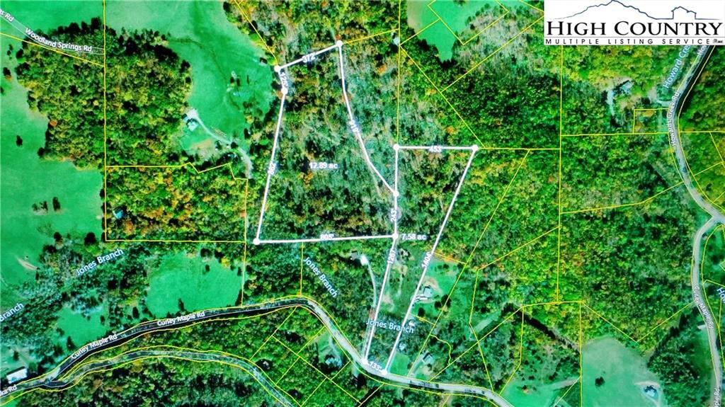 Image number 1 for the current listing