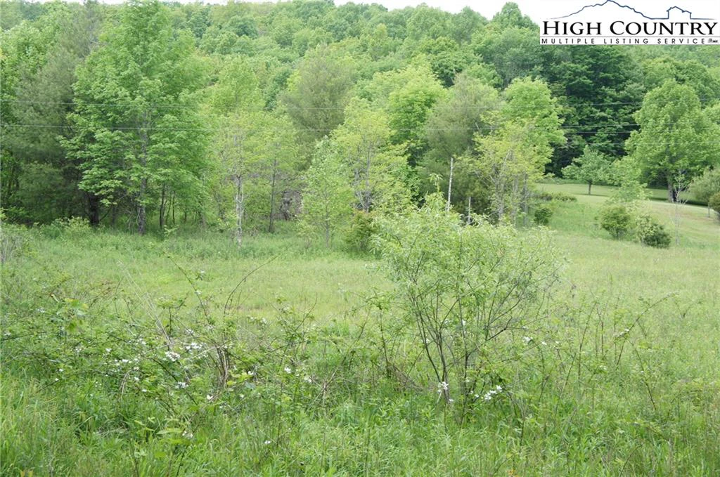 Image number 2 for the current listing