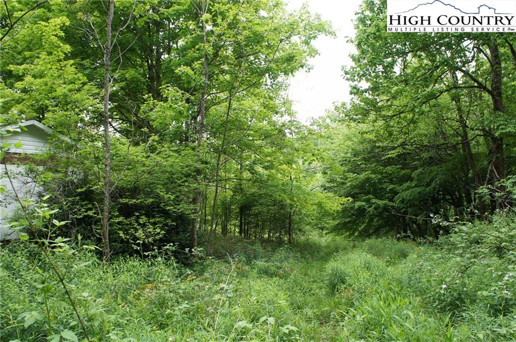 Image number 8 for the current listing