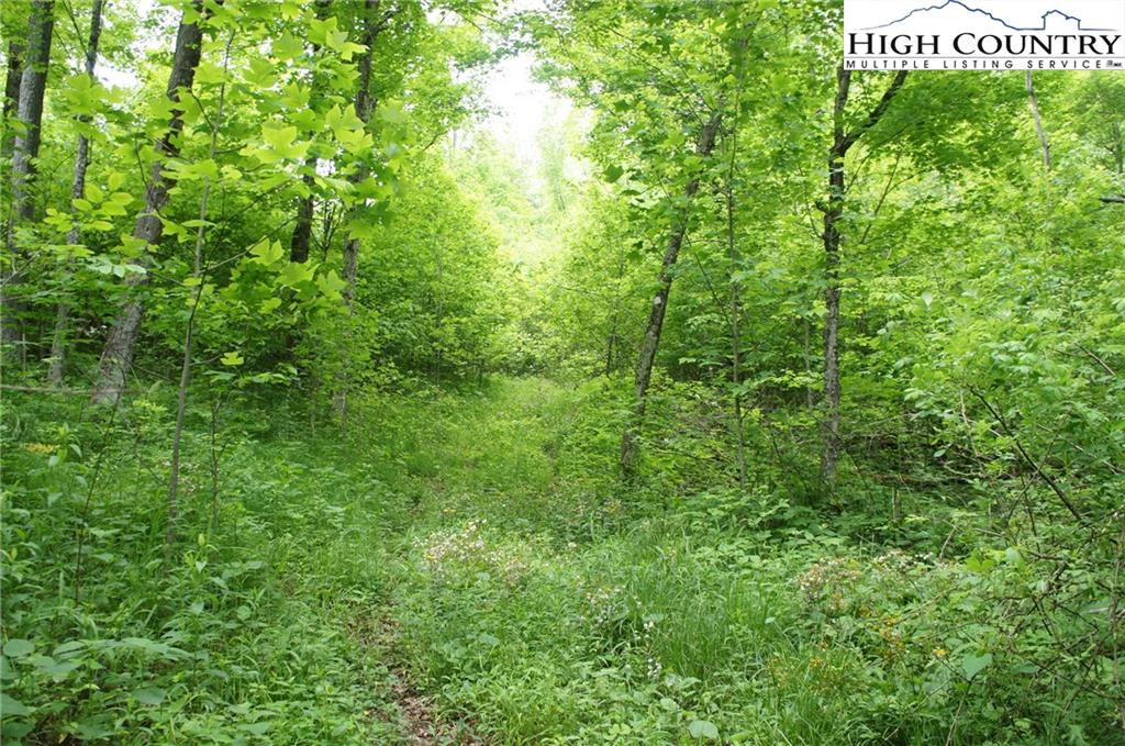 Image number 7 for the current listing