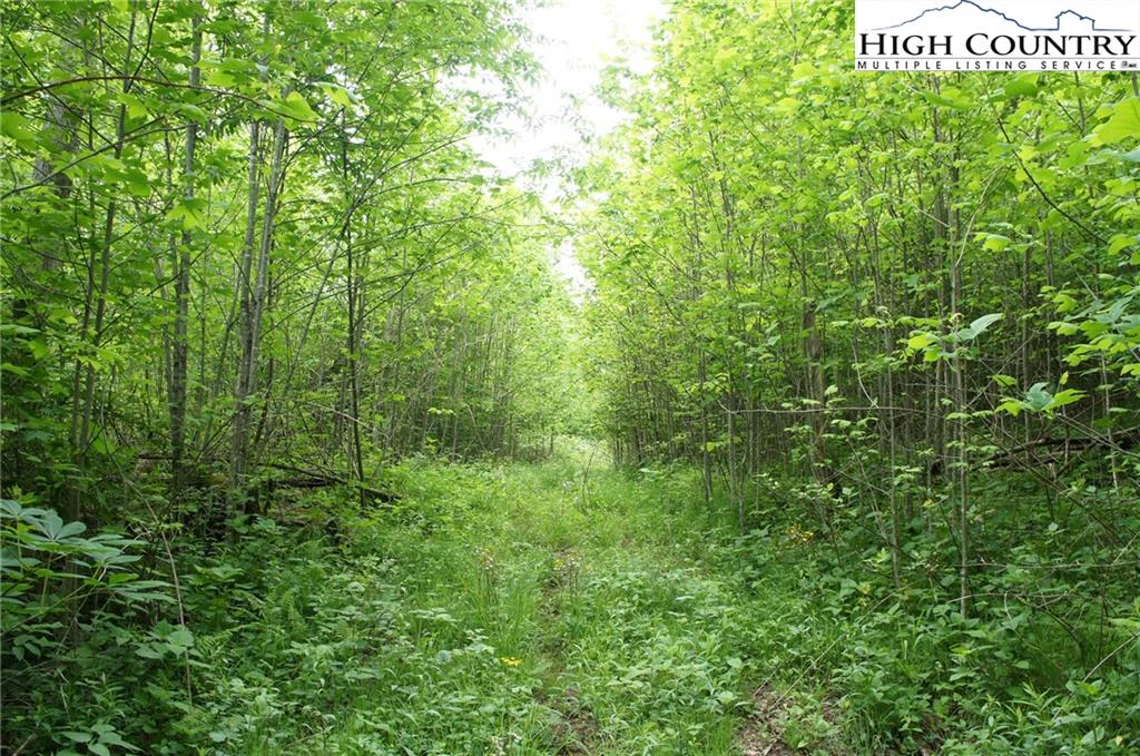 Image number 6 for the current listing