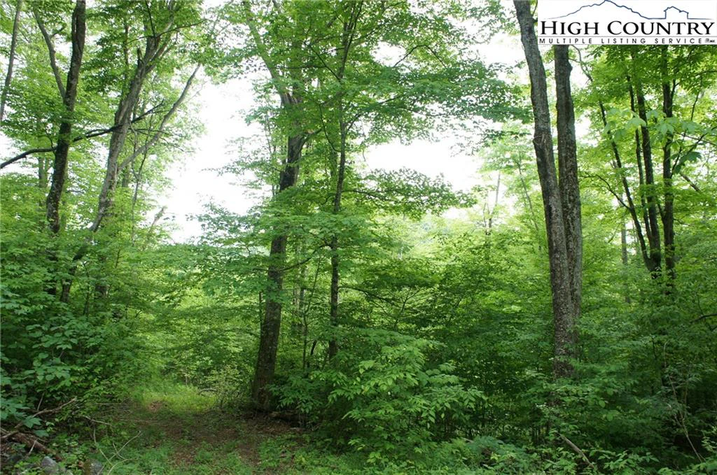 Image number 5 for the current listing