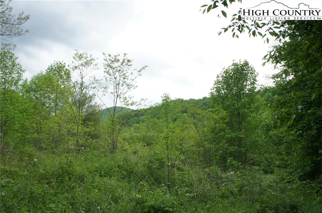 Image number 4 for the current listing