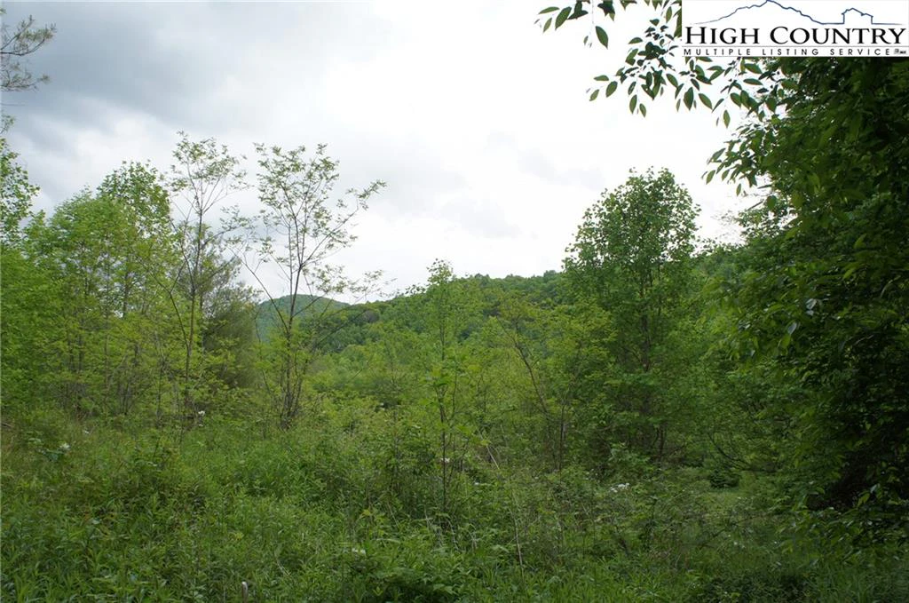 Image number 3 for the current listing