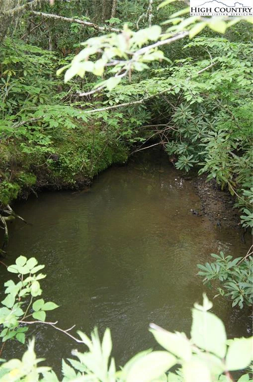 Image number 13 for the current listing