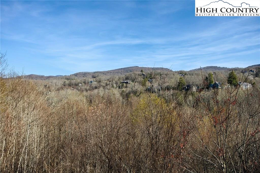 Image number 17 for the current listing