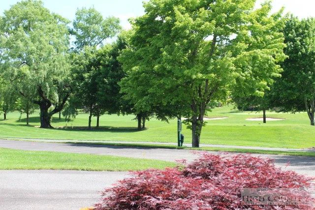 Image number 3 for the current listing