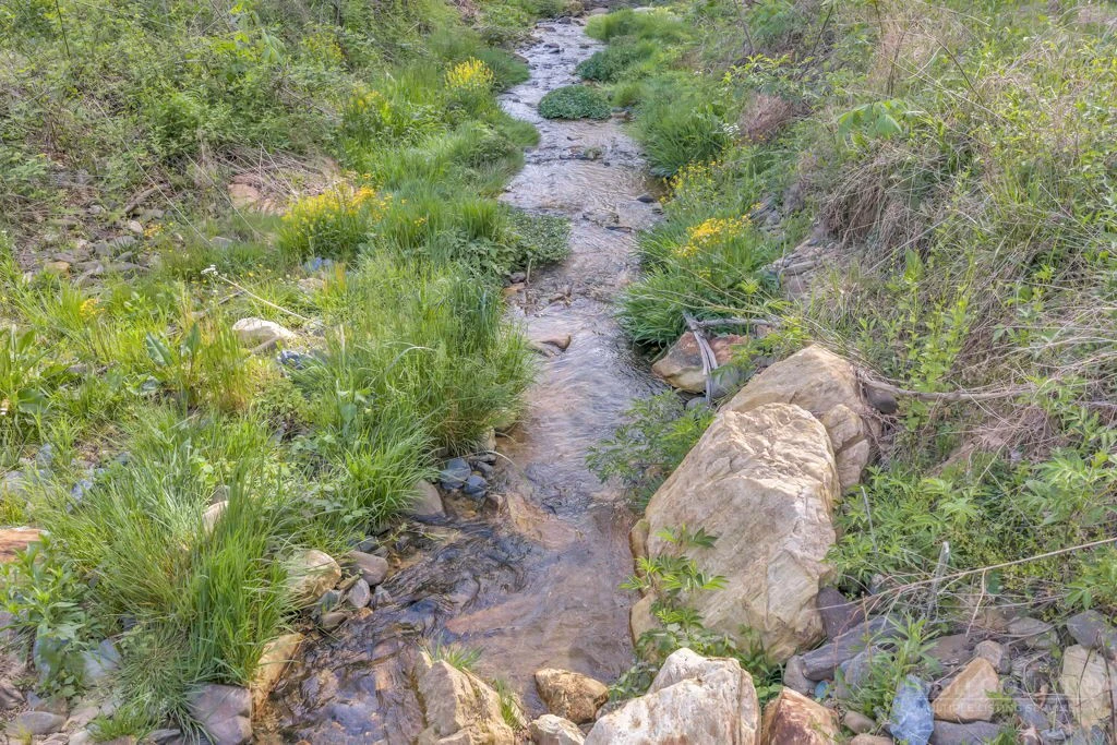 Image number 18 for the current listing
